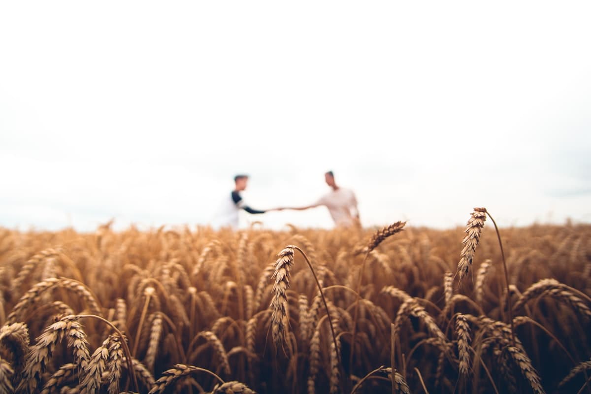 Agri & Allied